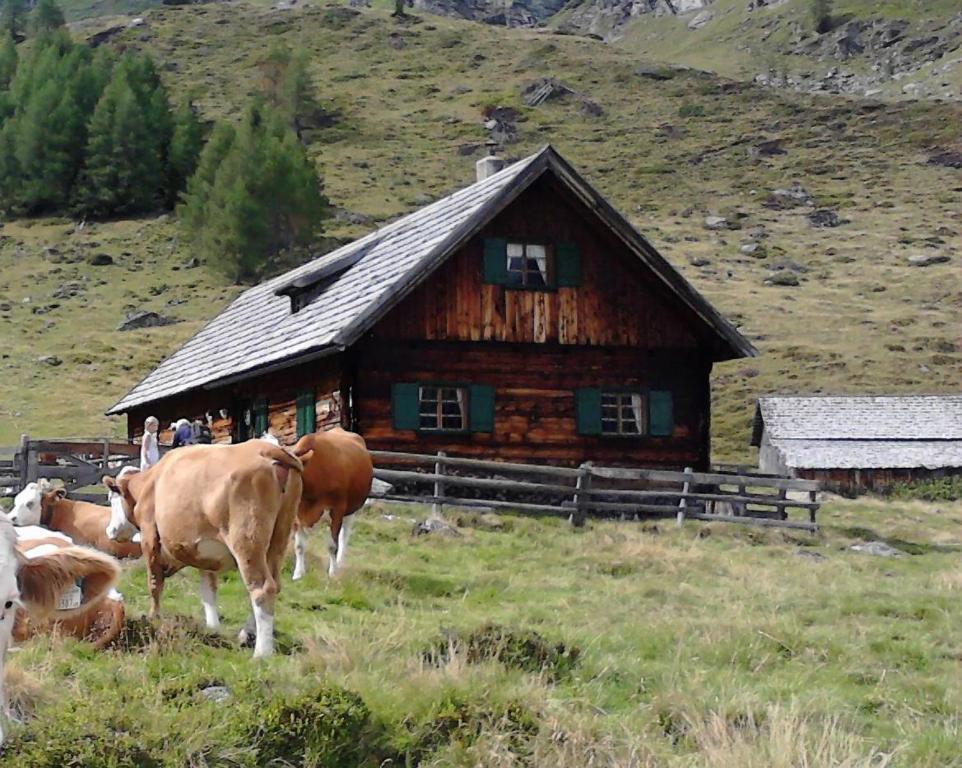 Karnerhof Διαμέρισμα Mariapfarr Εξωτερικό φωτογραφία